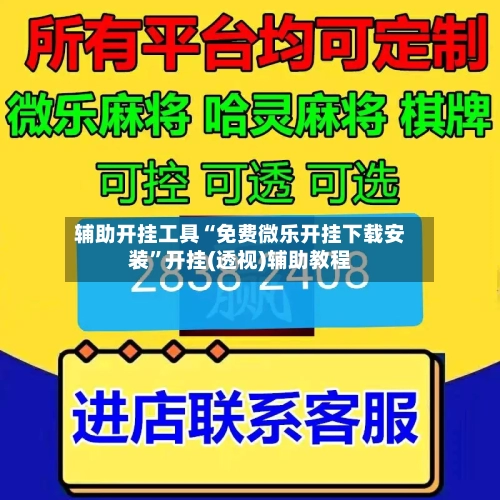 辅助开挂工具“免费微乐开挂下载安装”开挂(透视)辅助教程