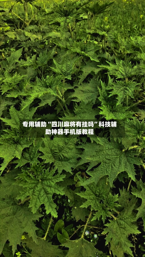 专用辅助“四川麻将有挂吗”科技辅助神器手机版教程
