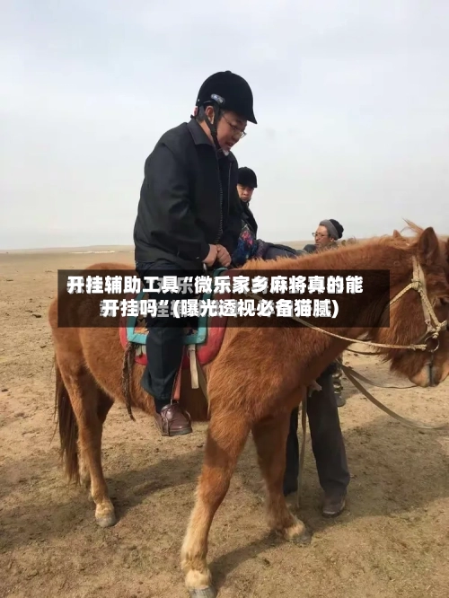 开挂辅助工具“微乐家乡麻将真的能开挂吗”(曝光透视必备猫腻)