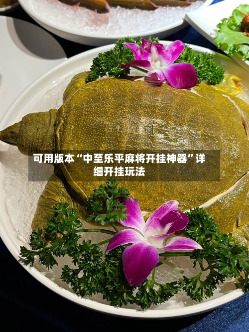 可用版本“中至乐平麻将开挂神器”详细开挂玩法