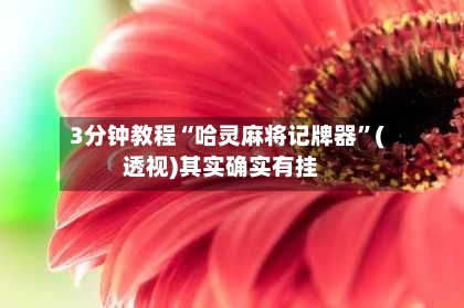3分钟教程“哈灵麻将记牌器”(透视)其实确实有挂