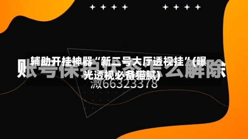 辅助开挂神器“新二号大厅透视挂”(曝光透视必备猫腻)