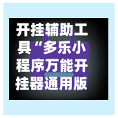 开挂辅助工具“多乐小程序万能开挂器通用版”详细开挂教程