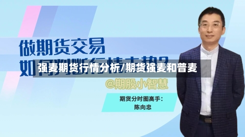 强麦期货行情分析/期货强麦和普麦