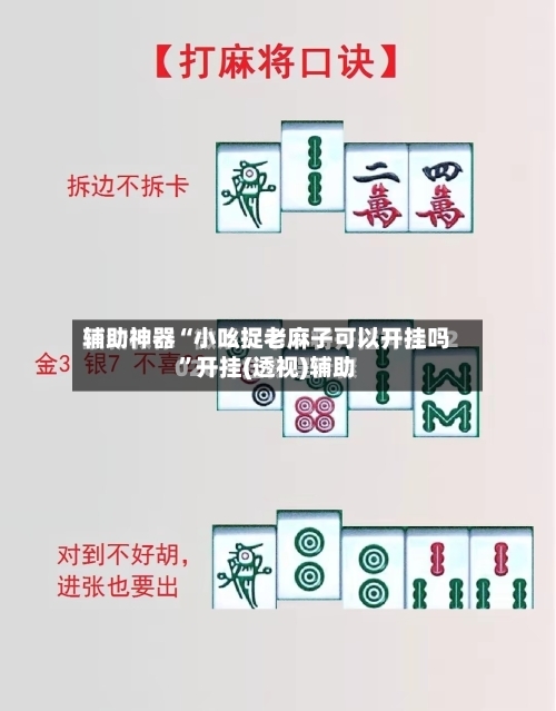 辅助神器“小吆捉老麻子可以开挂吗”开挂(透视)辅助