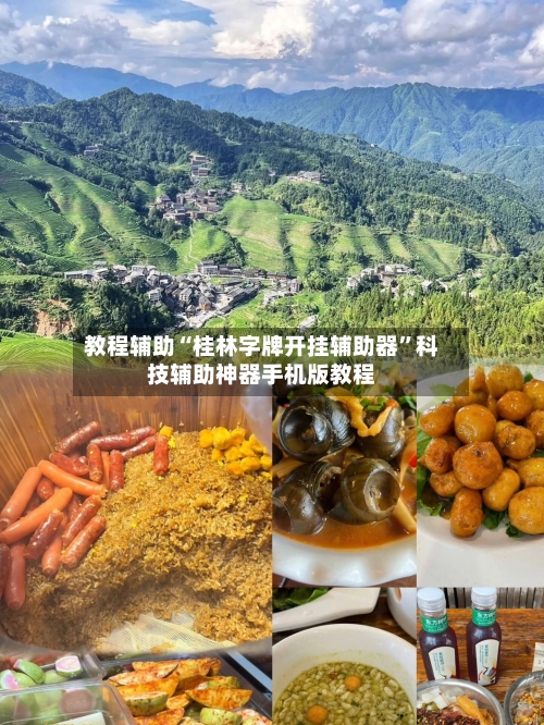 教程辅助“桂林字牌开挂辅助器”科技辅助神器手机版教程