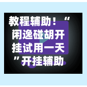 教程辅助！“闲逸碰胡开挂试用一天”开挂辅助脚本+详细开挂安装教程