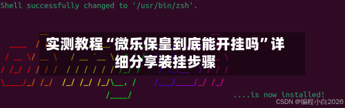 实测教程“微乐保皇到底能开挂吗”详细分享装挂步骤