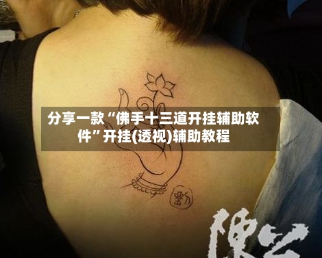 分享一款“佛手十三道开挂辅助软件”开挂(透视)辅助教程