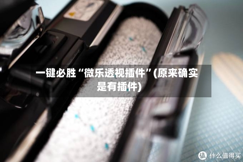 一键必胜“微乐透视插件”(原来确实是有插件)