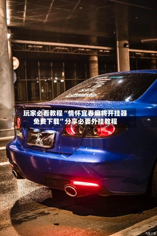 玩家必看教程“情怀宜春麻将开挂器免费下载”分享必要外挂教程