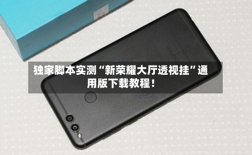 独家脚本实测“新荣耀大厅透视挂”通用版下载教程！