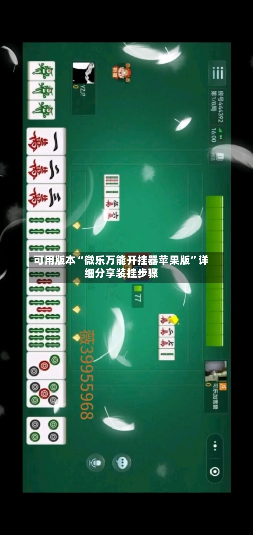 可用版本“微乐万能开挂器苹果版”详细分享装挂步骤