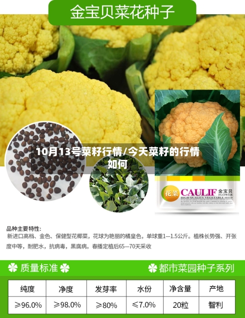 10月13号菜籽行情/今天菜籽的行情如何