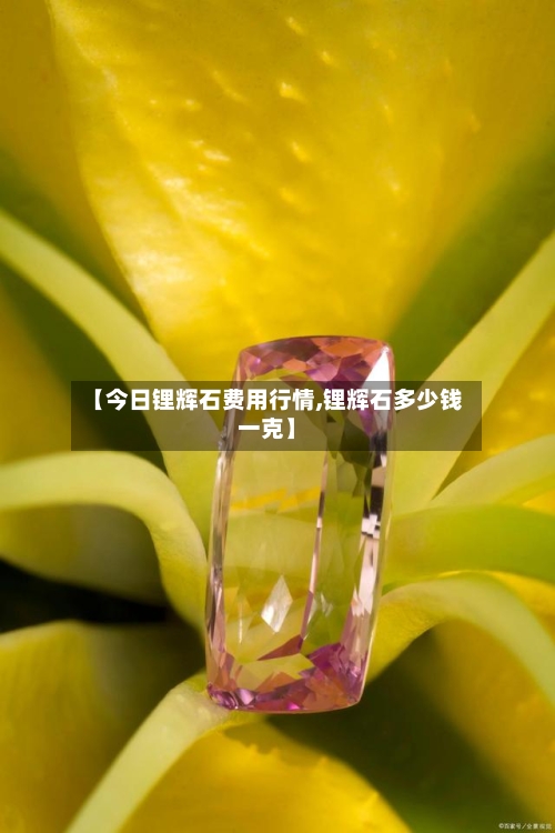 【今日锂辉石费用行情,锂辉石多少钱一克】
