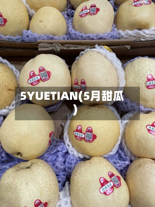 5YUETIAN(5月甜瓜)