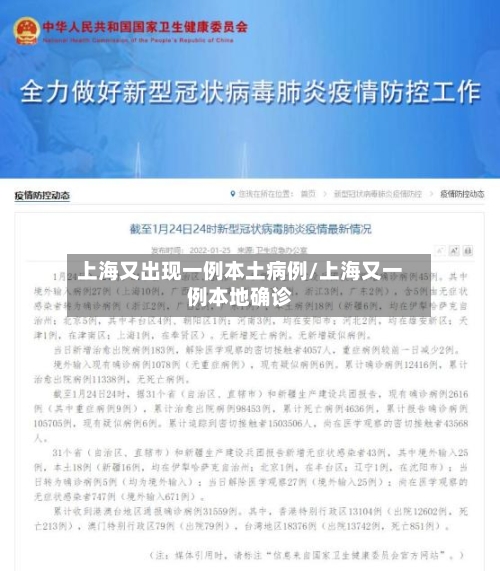 上海又出现一例本土病例/上海又一例本地确诊