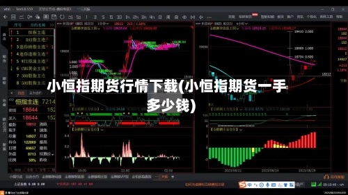 小恒指期货行情下载(小恒指期货一手多少钱)