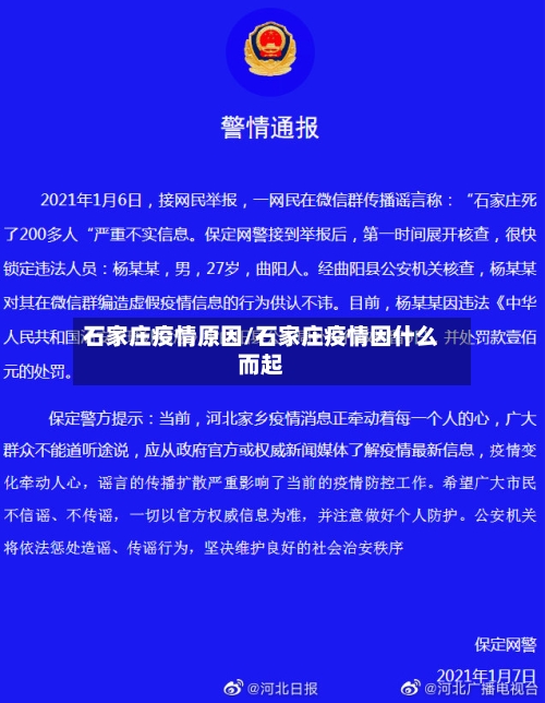 石家庄疫情原因/石家庄疫情因什么而起