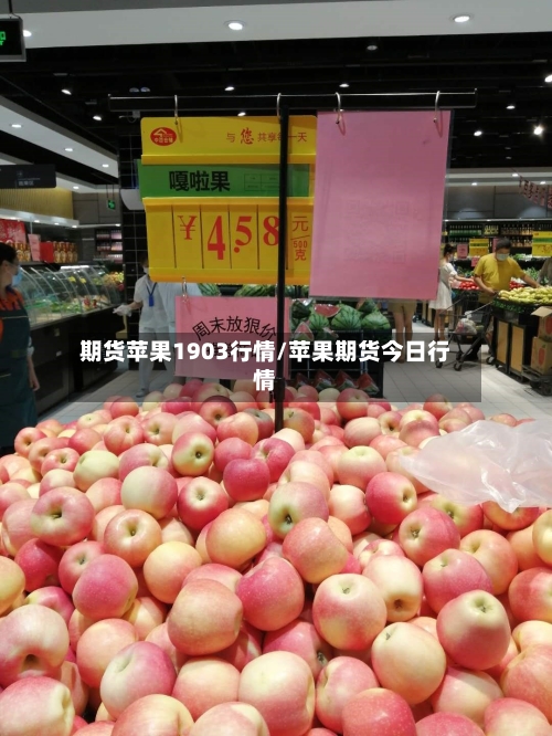 期货苹果1903行情/苹果期货今日行情