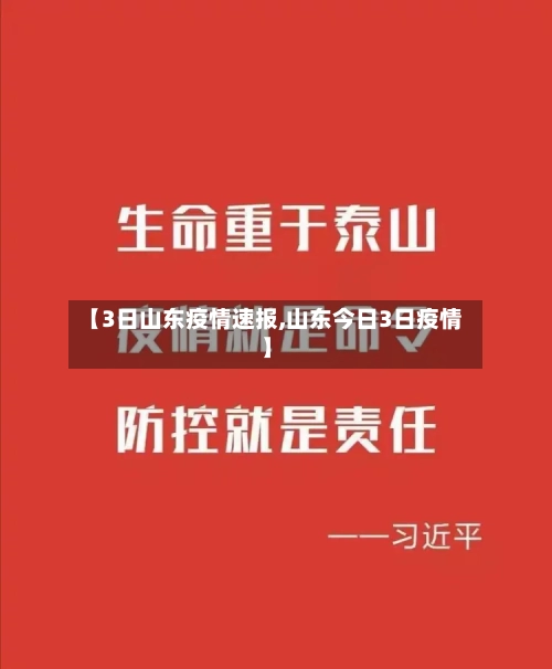 【3日山东疫情速报,山东今日3日疫情】