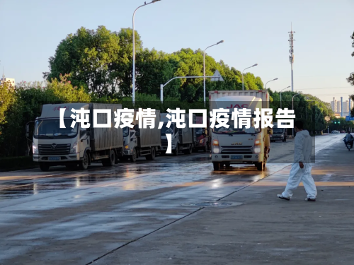 【沌口疫情,沌口疫情报告】