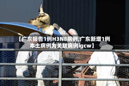 【广东报告1例H3N8病例,广东新增1例本土病例为关联病例igcw】