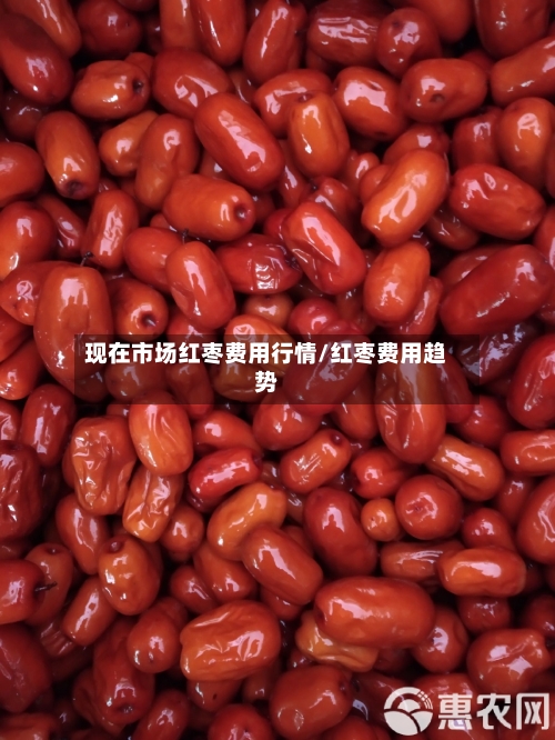 现在市场红枣费用行情/红枣费用趋势