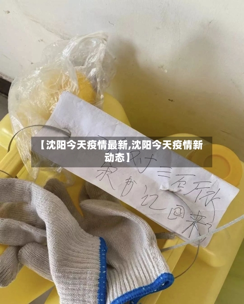 【沈阳今天疫情最新,沈阳今天疫情新动态】