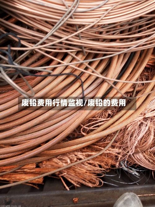 废铅费用行情监视/废铅的费用