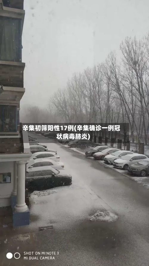 辛集初筛阳性17例(辛集确诊一例冠状病毒肺炎)