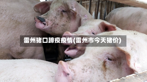 雷州猪口蹄疫疫情(雷州市今天猪价)