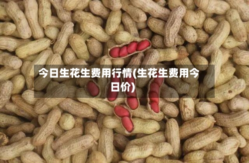 今日生花生费用行情(生花生费用今日价)
