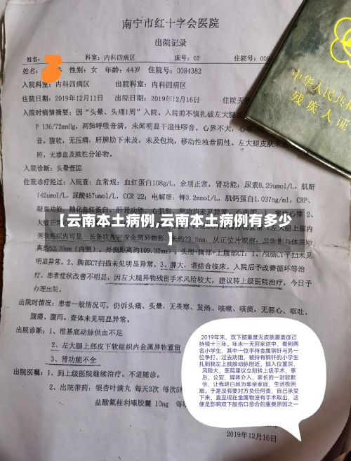 【云南本土病例,云南本土病例有多少】