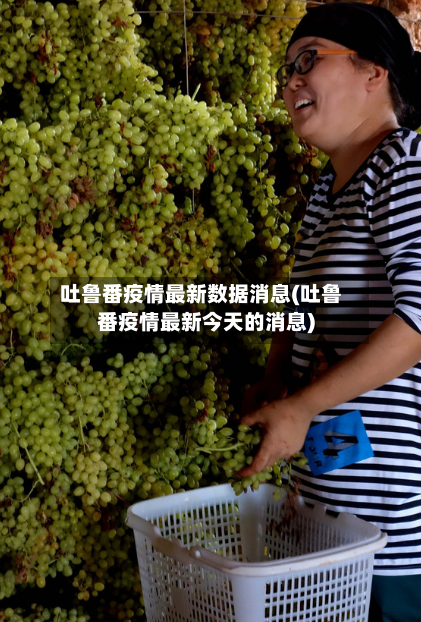 吐鲁番疫情最新数据消息(吐鲁番疫情最新今天的消息)
