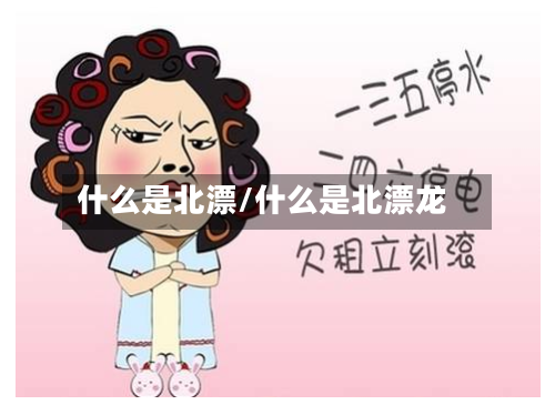 什么是北漂/什么是北漂龙
