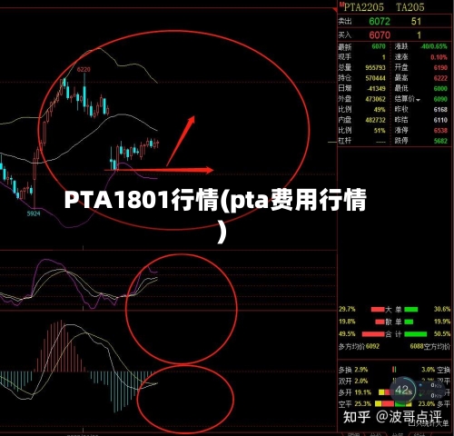 PTA1801行情(pta费用行情)