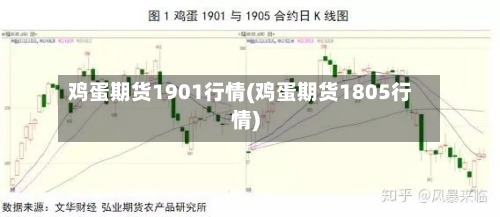 鸡蛋期货1901行情(鸡蛋期货1805行情)