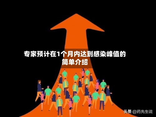专家预计在1个月内达到感染峰值的简单介绍