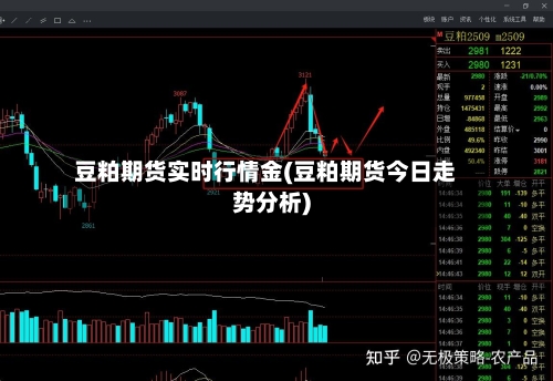 豆粕期货实时行情金(豆粕期货今日走势分析)