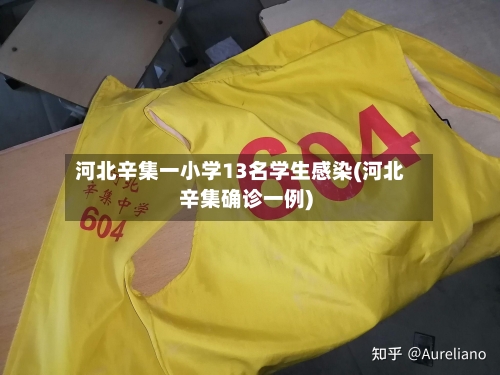 河北辛集一小学13名学生感染(河北辛集确诊一例)