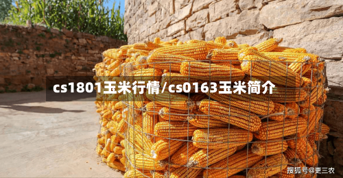 cs1801玉米行情/cs0163玉米简介
