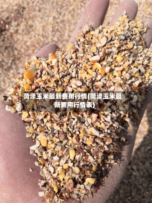 菏泽玉米最新费用行情(菏泽玉米最新费用行情表)