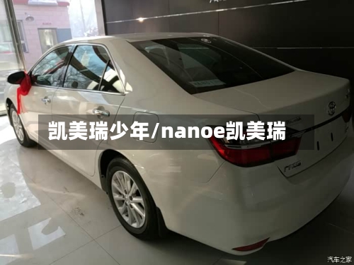 凯美瑞少年/nanoe凯美瑞