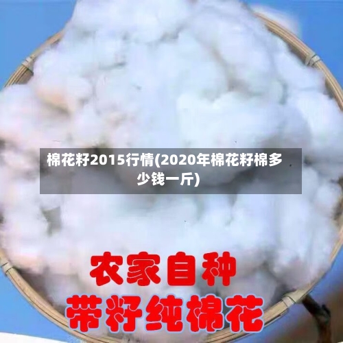 棉花籽2015行情(2020年棉花籽棉多少钱一斤)