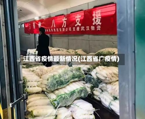 江西省疫情最新情况(江西省广疫情)