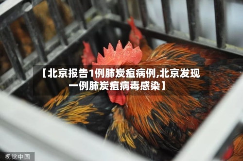 【北京报告1例肺炭疽病例,北京发现一例肺炭疽病毒感染】