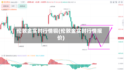 伦敦金实时行情铜(伦敦金实时行情报价)