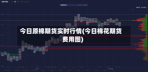 今日原棉期货实时行情(今日棉花期货费用图)