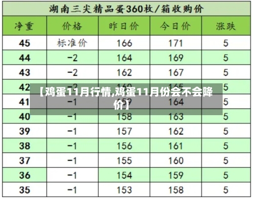 【鸡蛋11月行情,鸡蛋11月份会不会降价】